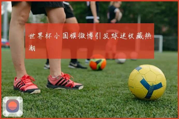 世界杯小国旗微博引发球迷收藏热潮