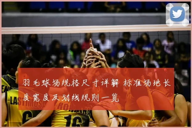 羽毛球场规格尺寸详解 标准场地长度宽度及划线规则一览